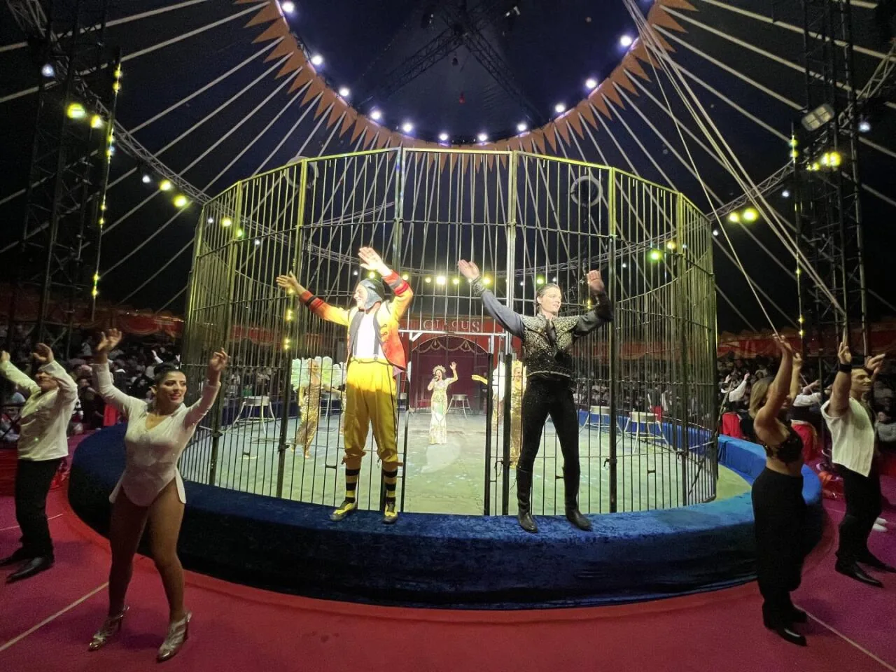 The cage ring for the tiger act