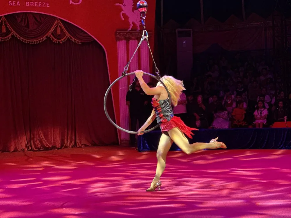 Aerial hoop