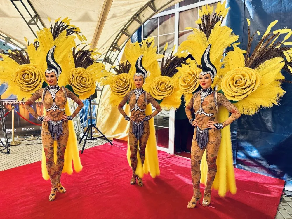 Revü kostyumları