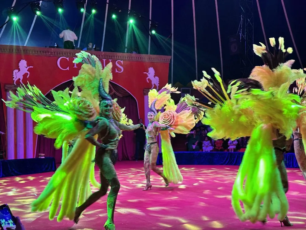 A dance in glowing feathers