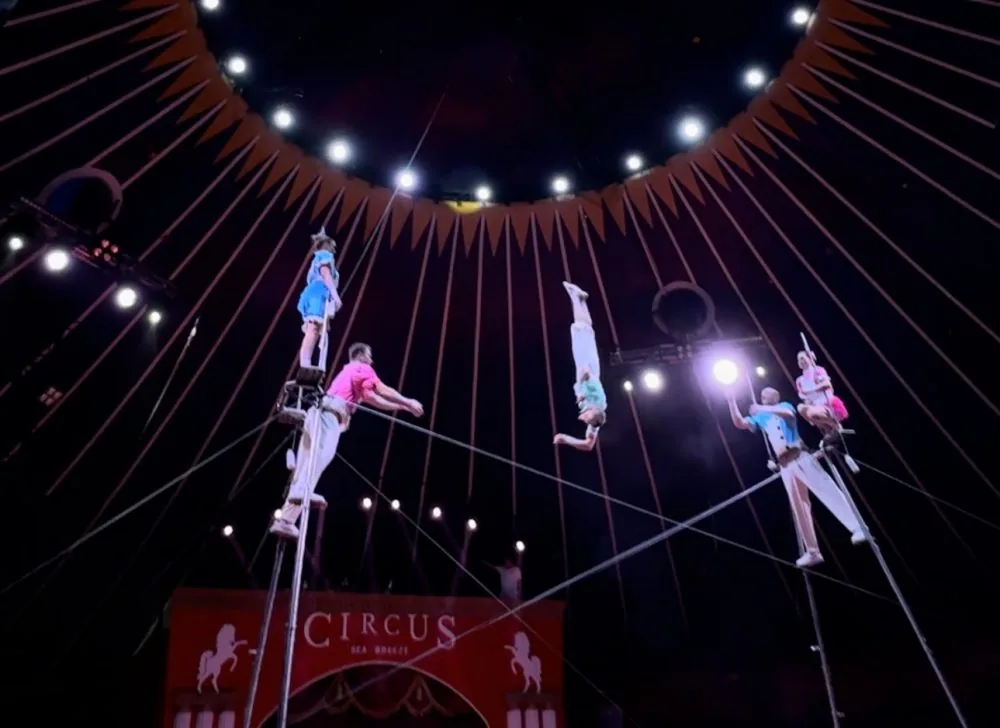 Tightrope walkers under the dome